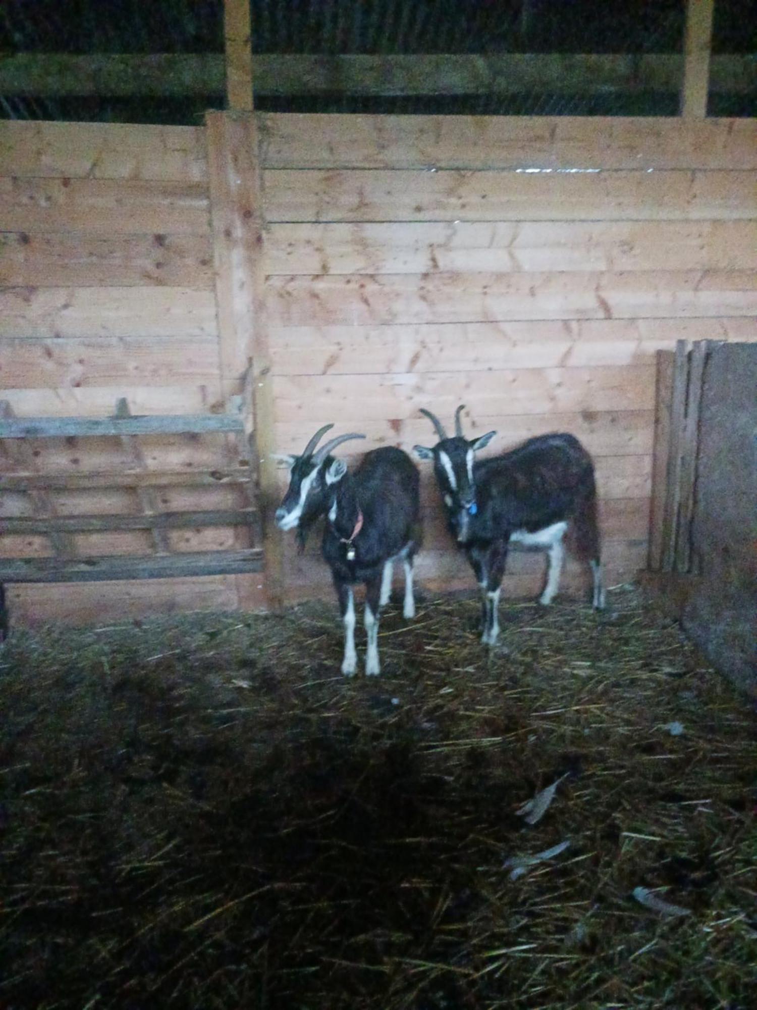 La Ferme Stanczak Appartement Tréguier